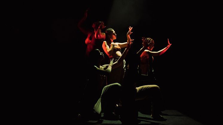Company Nicolas Huchard - The barefoot diva