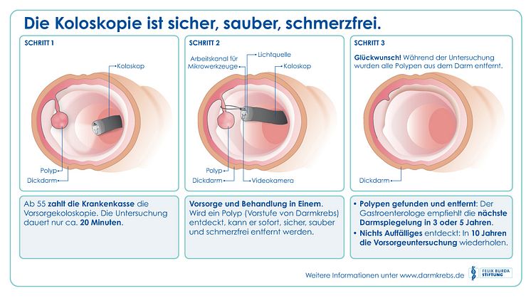 Wie funktioniert die Darmkrebsvorsorge mittels Koloskopie?