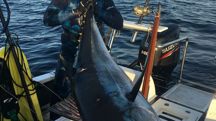 Mark Manchip, skipper de Fish Tales, avec son record du monde de 117 kg de patudo