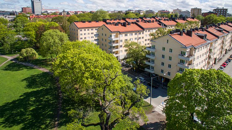 Med närmare 800 lägenheter är HSB brf Fredhäll på Kungsholmen en av landets största bostadsrättsföreningar.