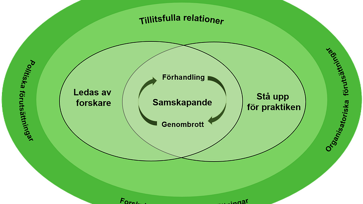 Anpassningsprocessen vid involvering