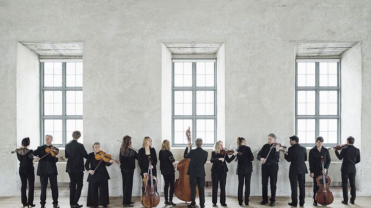 Camerata Nordica är en av landets mest meriterade kammarorkestrar och hemmahörande i Kalmar län. Foto: Jonas Lindström Studio.