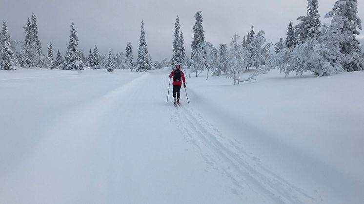 Ski