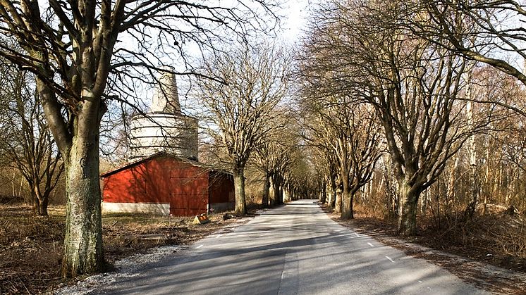 Stadsbiblioteket: Klagshamn. Vidder, ljus, känsla