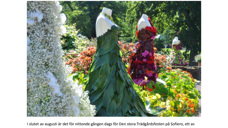 Färgsprakande Trädgårdsfest på Sofiero