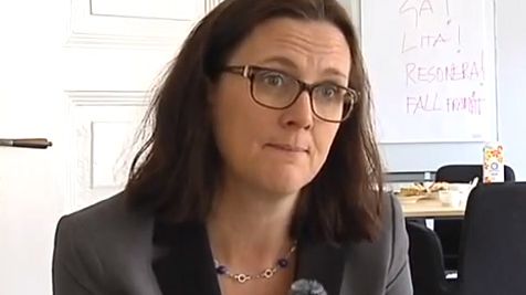Om romernas situation i Sverige och Europa