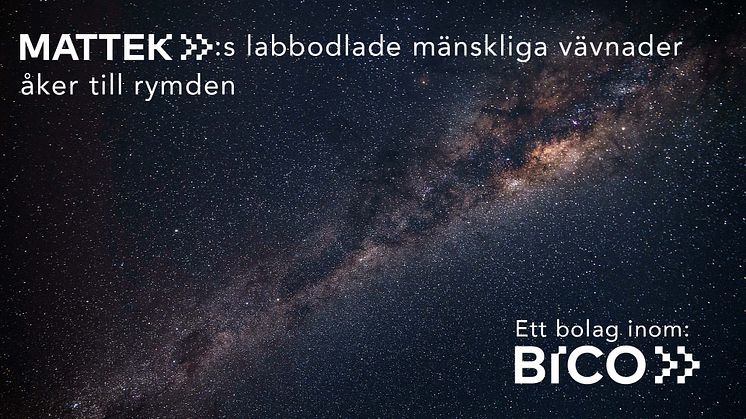 Labbodlade mänskliga vävnader från MatTek, ett bolag inom BICO-koncernen, åker till rymden