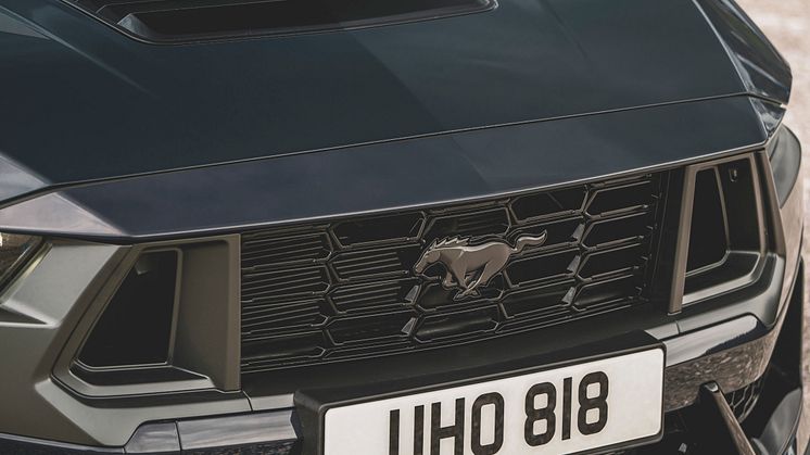 2024 FORD MUSTANG DARK HORSE (30)
