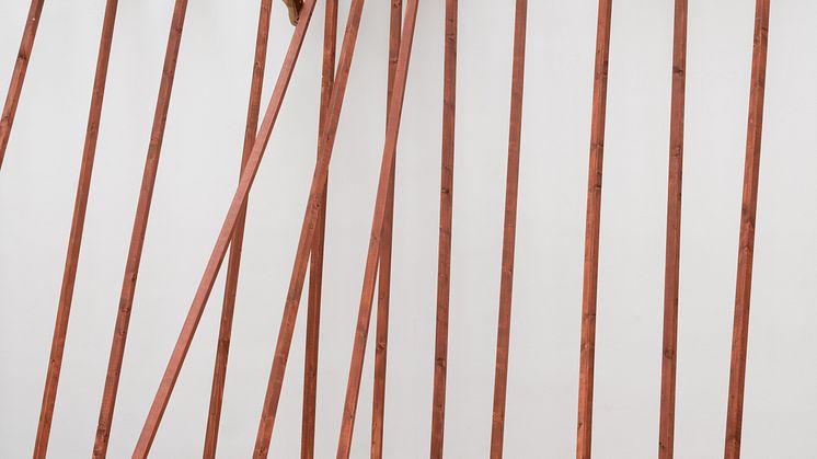 Jeannette Ehlers, Jumbie Tree: The Flesh of Tree. The Flesh of Skin, 2022