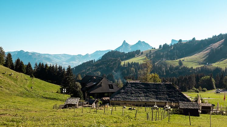 Schaukaeserei am Fuss des Moleson
