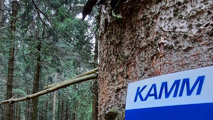 Markierung am Kammweg Erzgebirge-Vogtland_Foto TVE