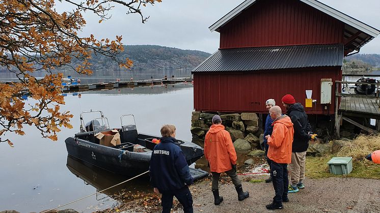 Torsksläpp, Holma småbåtshamn