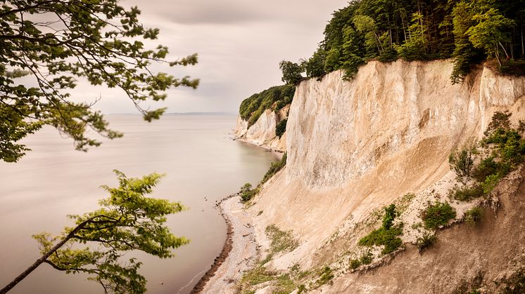 ﻿﻿﻿Sassnitz: Kridtklipper ved ﻿Jasmund Nationalpark på øen Rügen