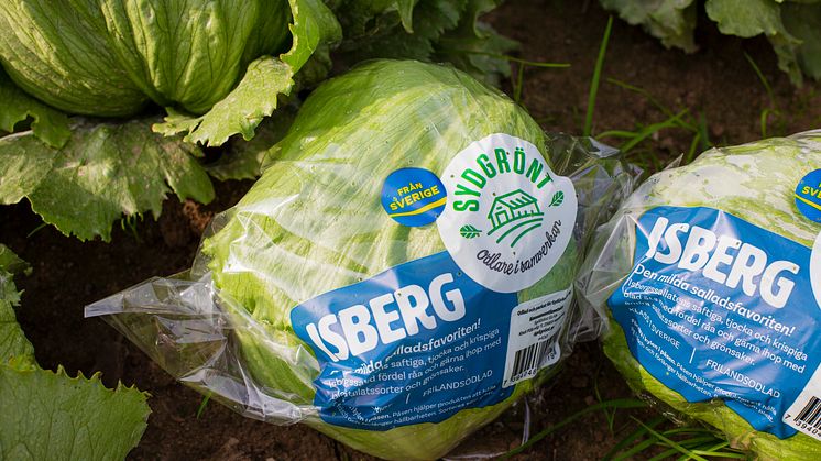 SydGrönt odlar svenska grönsaker, frukter och bär och märker med Från Sverige-märkningen