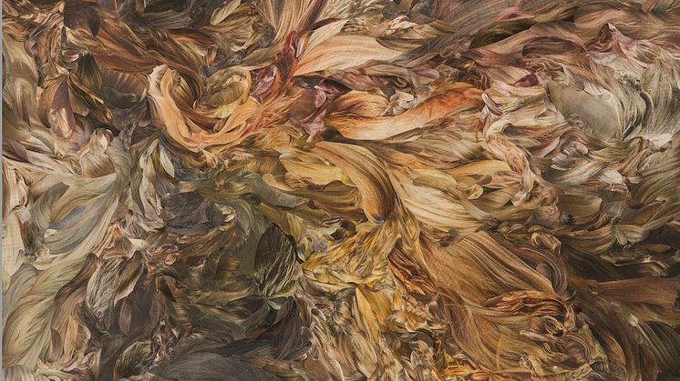 Pacific 1 - Sara Ocklind