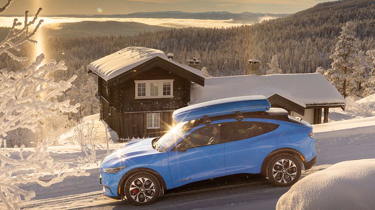 Ford Mustang Mach-E Vinter 2022
