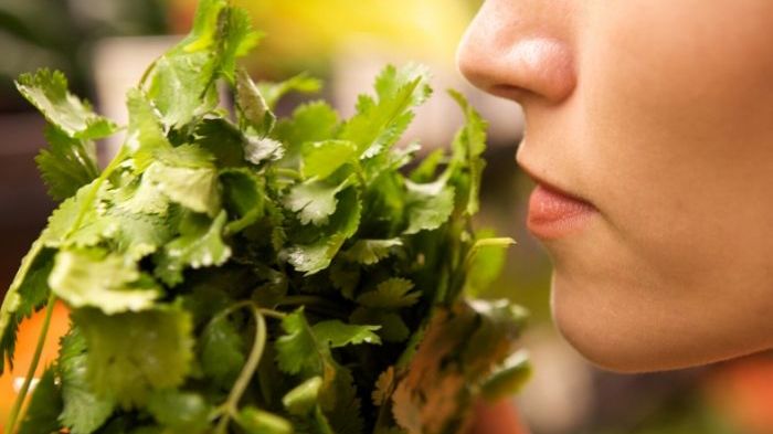Global study: How does COVID-19 impact sense of smell and taste? (Image: Shutterstock)