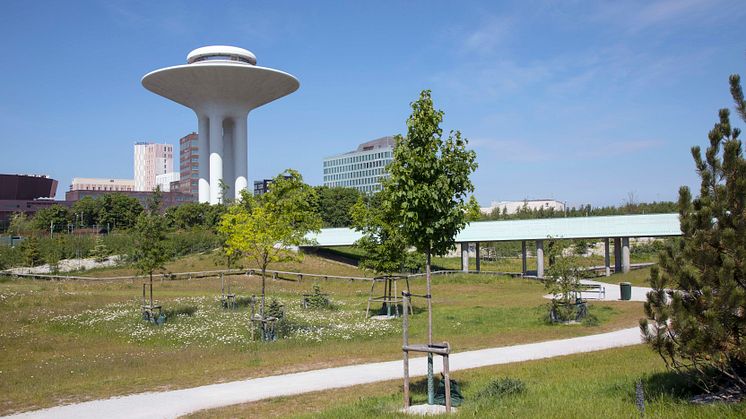 Dagvattenparken i Hyllie, Malmö