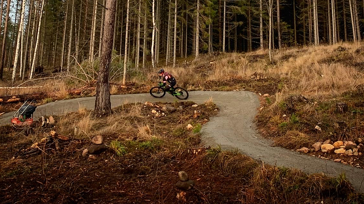 Flowtrails på ett hygge - hållbar naturturism!