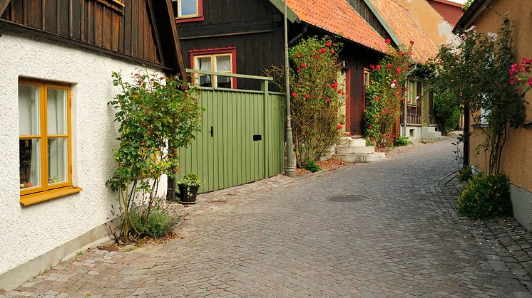 Hållbar utveckling högt på agendan i Almedalen