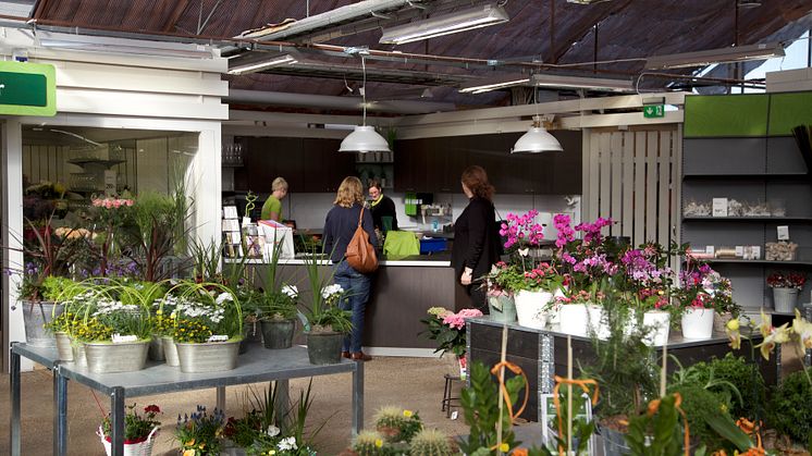 Blomsterlandet fortsätter sin expansion – ny butik i Umeå, Strömpilen