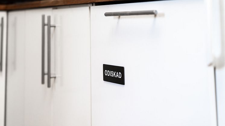 diskmagnet2