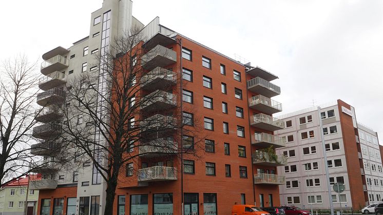 Sidensvansen bild2