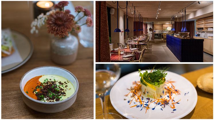 Gøteborg Tizne Foto Anders Husa Human restaurant Foto Happy Visuals Gøteborg Bar Bulot Foto Anders Husa .jpg