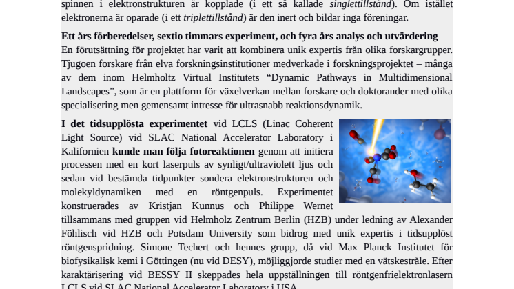 Röntgenlaser ger ögonblicksbilder av fotokatalys