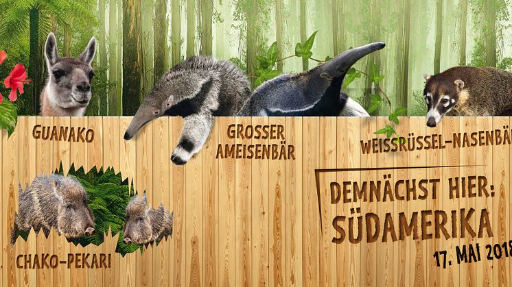 Südamerika im Zoo Leipzig - Tierbesatz