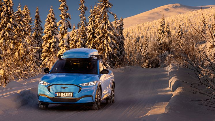 Ford Mustang Mach-E Vinter 2022