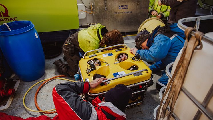 Saneringen av miljöfarliga vrak inleds: Nu töms fiskefartyget Thetis på olja