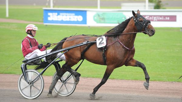 Raja Mirchi inbjuden till Elitloppet 2012