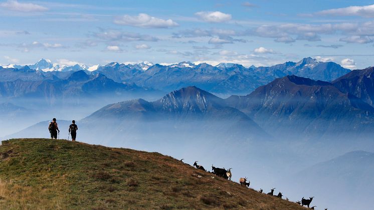 Lugano Trekking, Tessin (c) Tessin Tourismus, Remy Steinegger