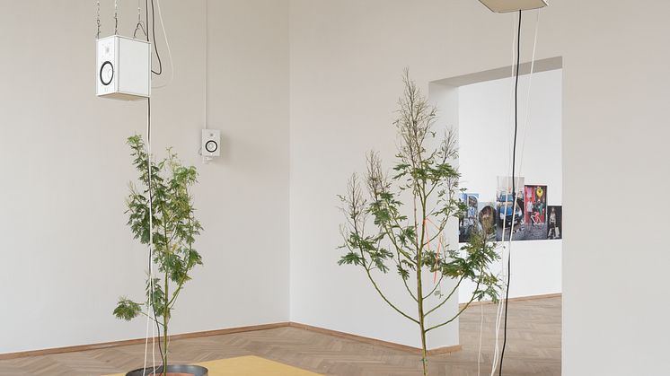 Mohamed Bourouissa_Charlottenborg_023_Photo by David Stjernholm