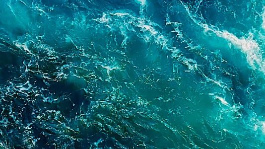 Stillingsannonse – Forsker/Seniorforsker akvakultur - produksjonsoptimalisering og fiskevelferd (AVSLUTTET)