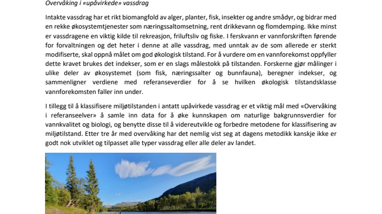Overvåking i referanseelver