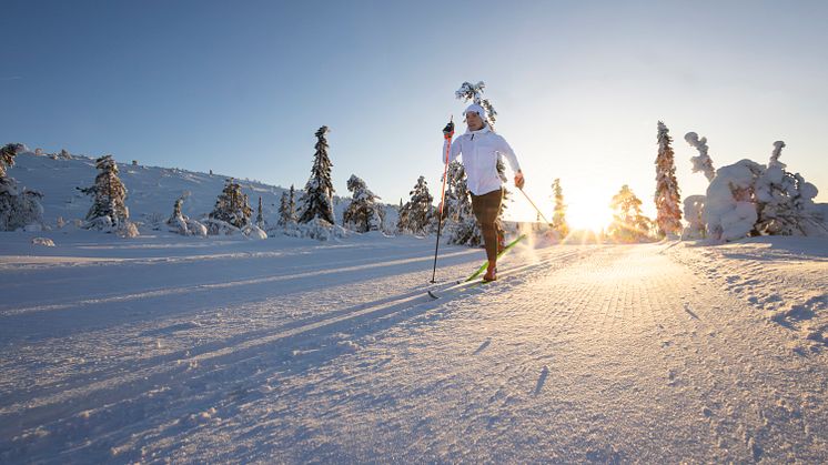 Team SkiStar Charlotte Kalla deltar i Vasaloppets Stafettvasa fredag 1 mars med första start kl.07:00.