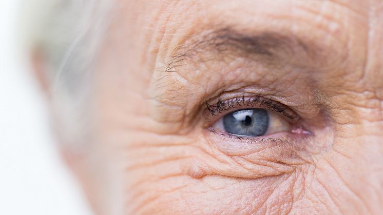 The extraocular muscles may provide possible key to defensive mechanisms against ALS