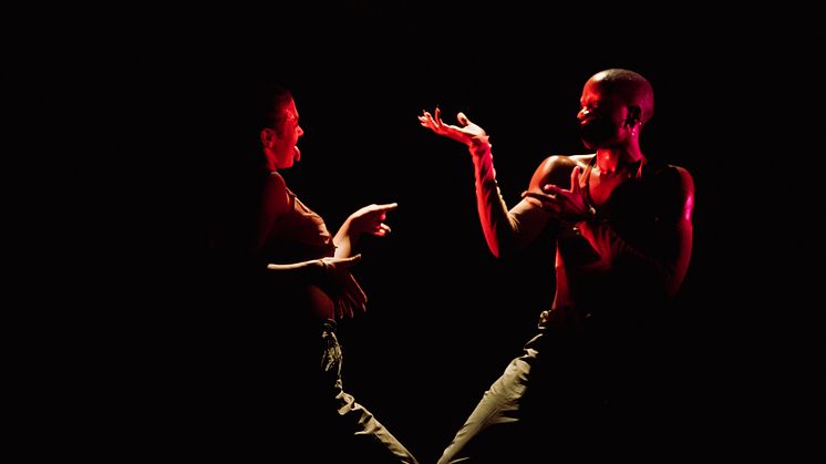 Company Nicolas Huchard - The barefoot diva