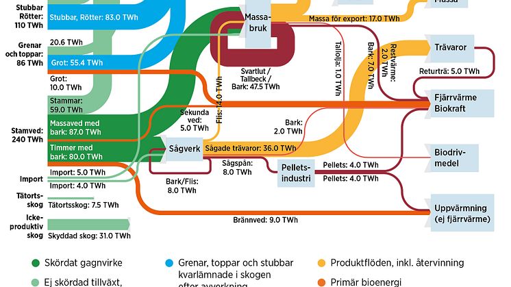 Källa: Bioenergy from boreal forest, Swedish approach to sustainable wood use. IRENA, International Renewable Energy Agency 2019, i svensk översättning.