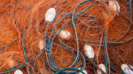 EU föreslår utkastförbud i Skagerrak