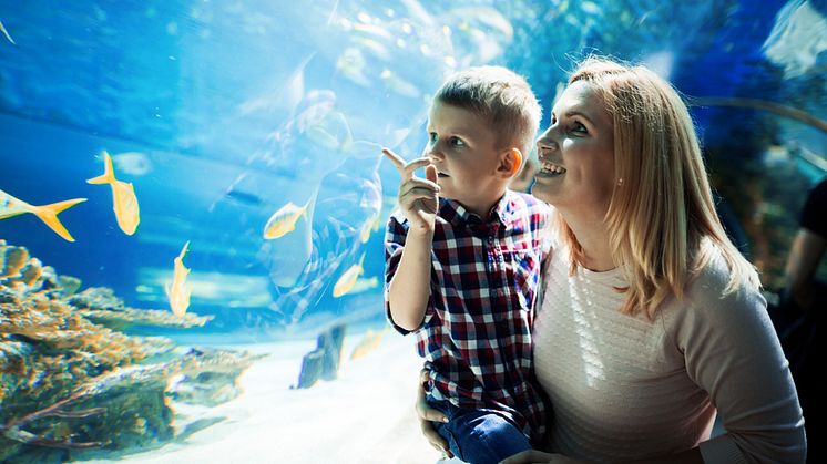 Explore North Tyneside with Go North East