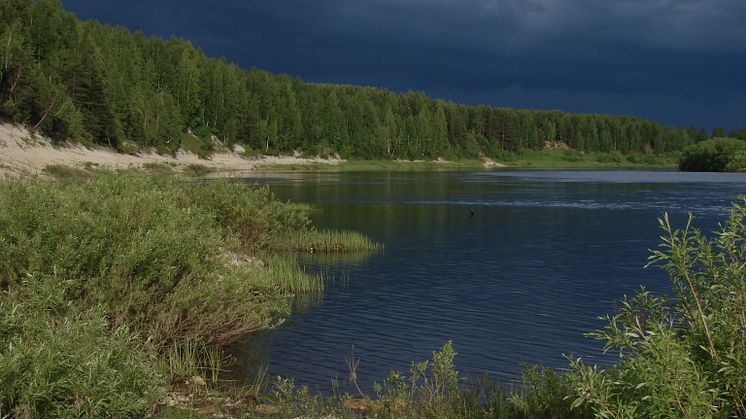 Floden Izhma