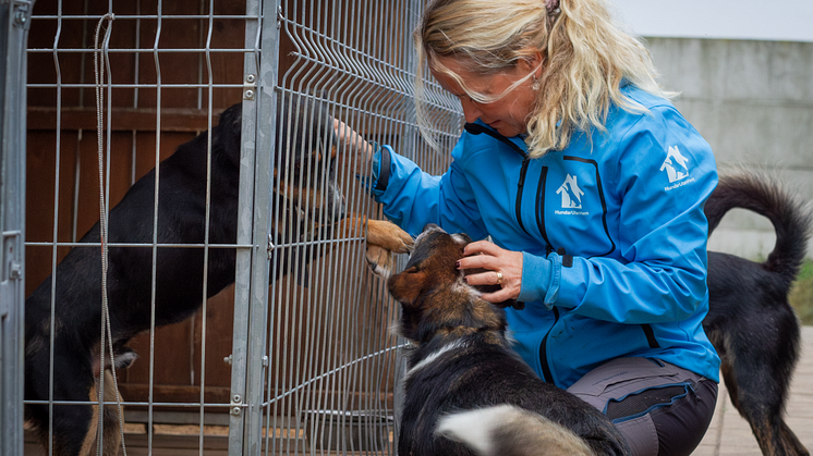 Hundar Utan Hem ger avlivningshotade hundar en andra chans – öppnar 90-konto för att rädda fler
