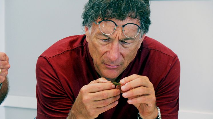 05_09_TheCurseOfOakIsland_S06