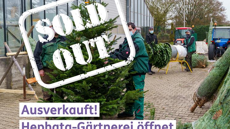 Verkaufsladen der Hephata-Gärtnerei schließt bis 11. Januar