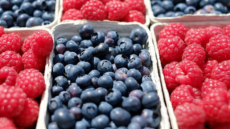 Blåbär hjälper till att skydda mot bland annat typ 2-diabetes