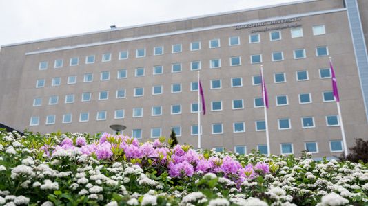 Hälsohögskolan, Jönköping University, har tilldelats nära 9,9 miljoner i forskningsanslag från Forte.