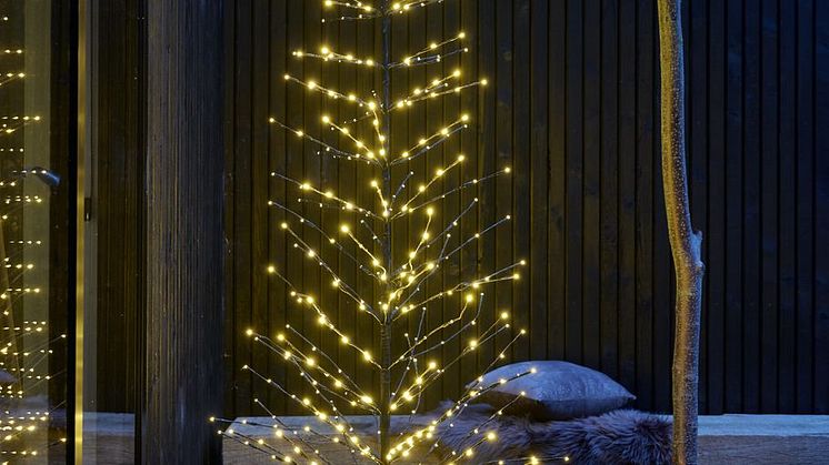 Christmas 2020 (5)